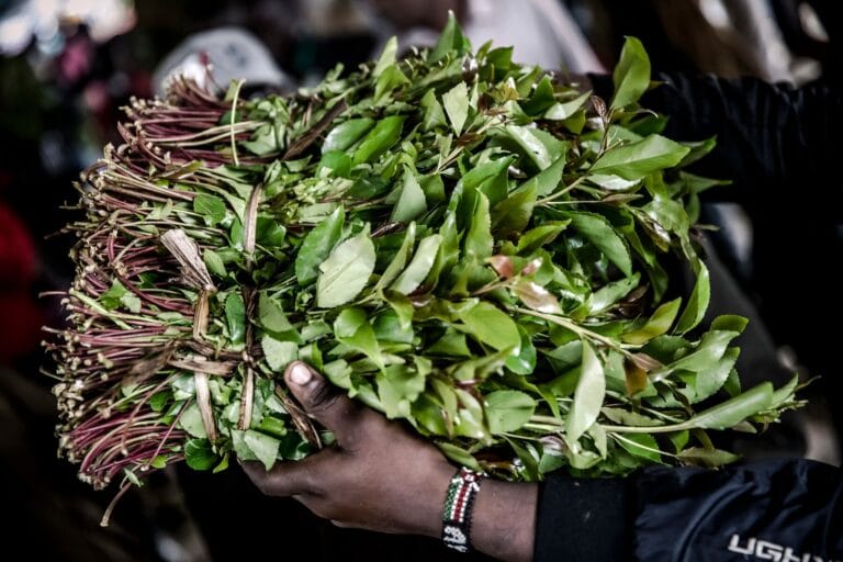 miraa
