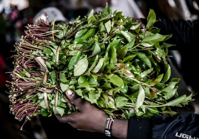 miraa