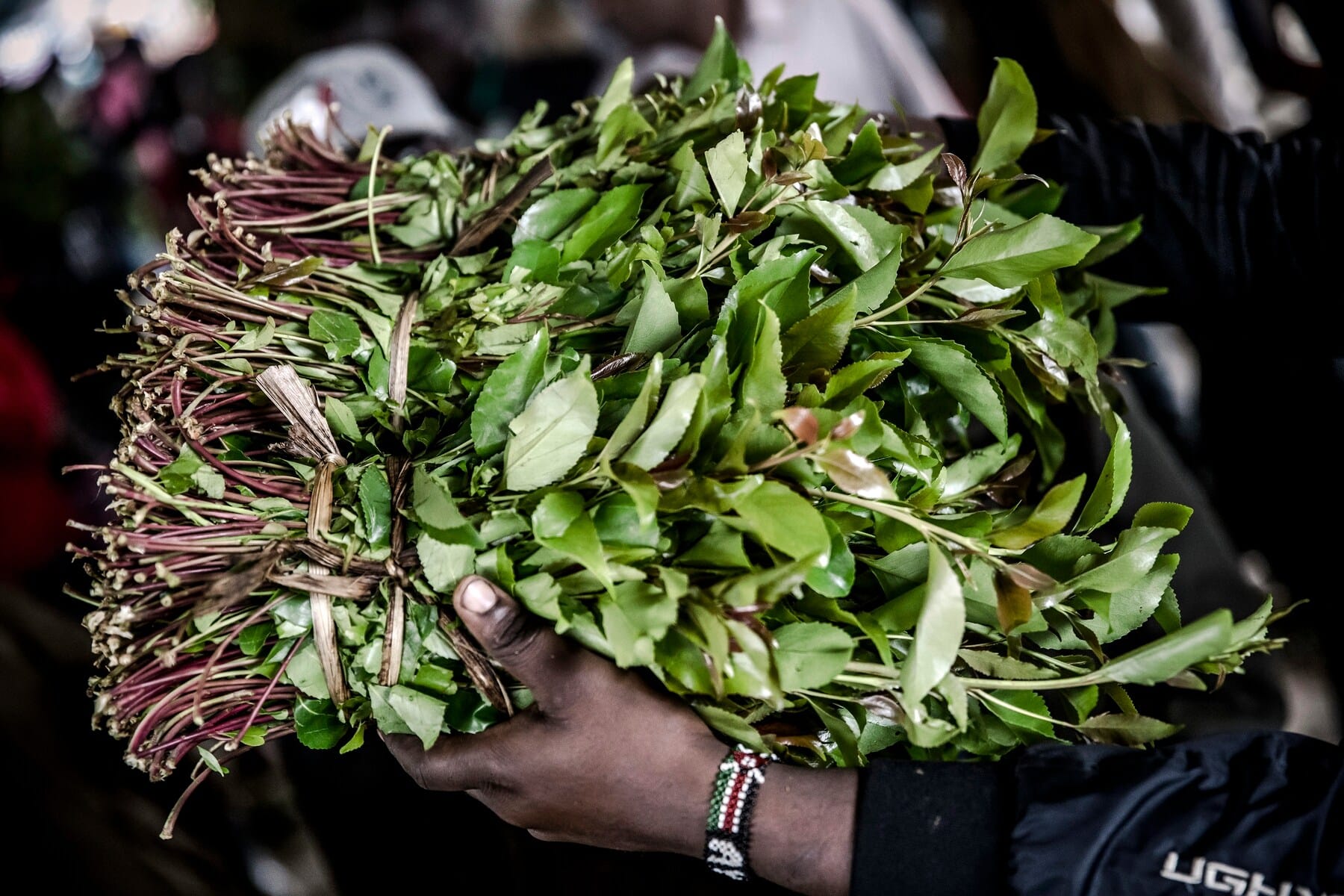 miraa