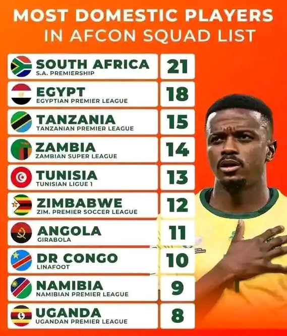 AFCON Domestic Players chart